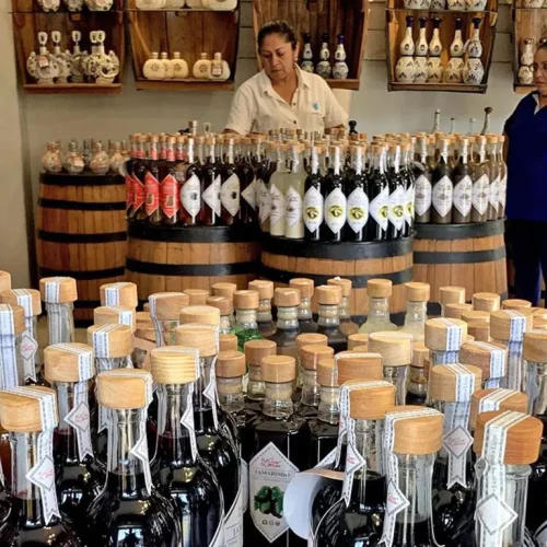 Local-Style-Tequila-Walking-Adventure-and-Brunch-Featured