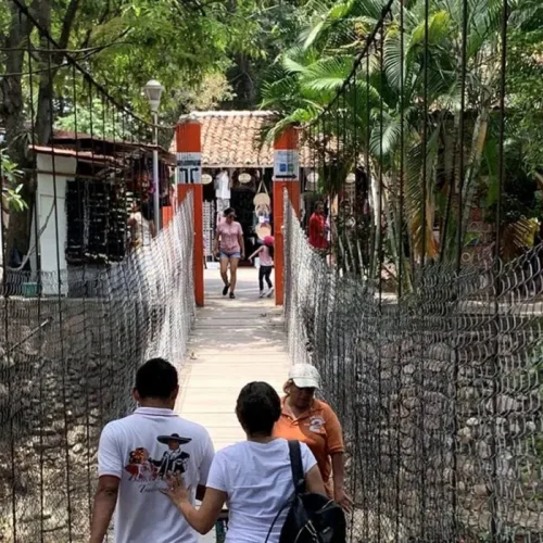 Local-Style-Tequila-Walking-Adventure-and-Brunch-ft-2-pplc7mj20vkigshososs8v4i110cidff88lu82a1co