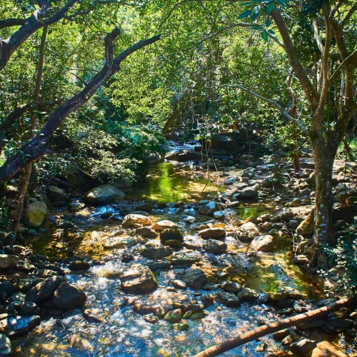 NakaweAdventures-HikingPaloMaria4