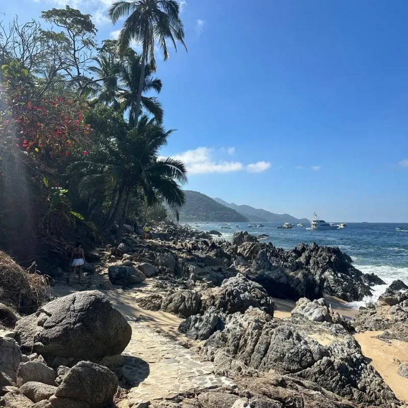 NakaweAdventures-JungleHiking-5