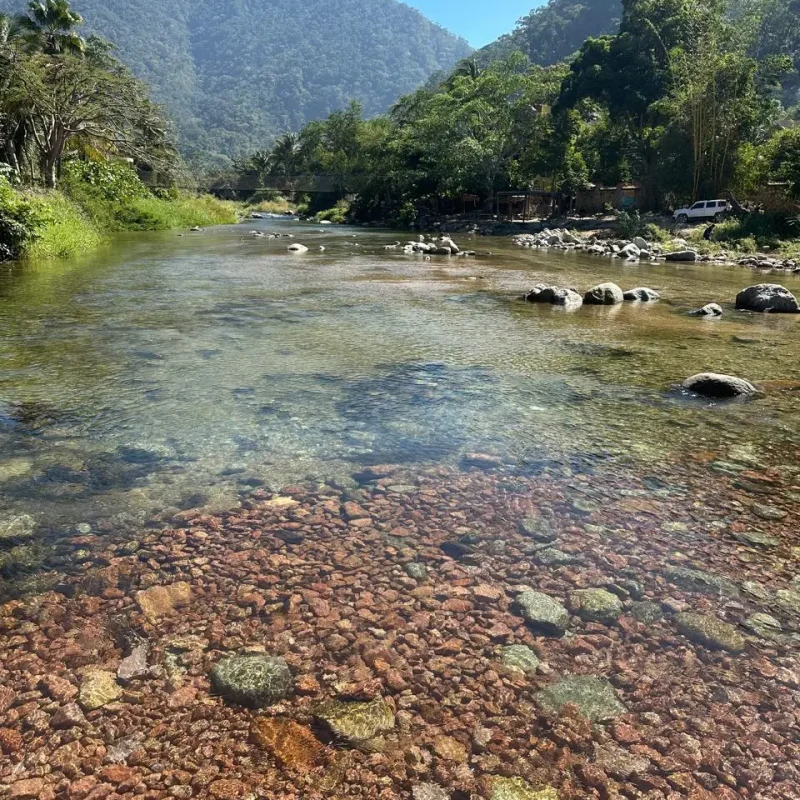 NakaweAdventures-JungleHiking(2)