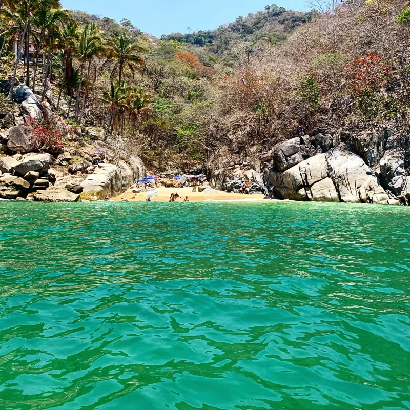 NakaweAdventures-JungleHiking9-scaled