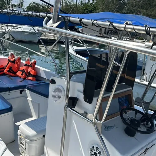 NakaweAdventures-WhaleWatching